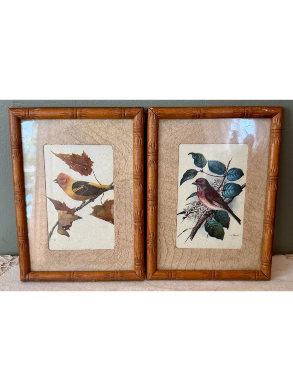 Vintage Bird Print Wall Art Set Bamboo Frames Cottagecore Nature Decor Gallery W